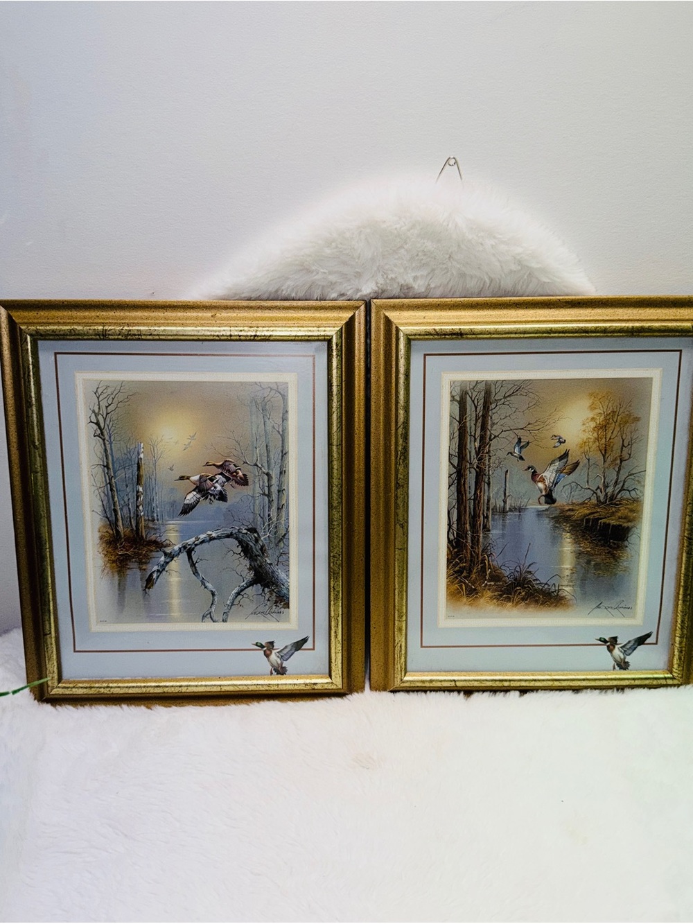 10”x12” Set of 2 Framed Duck Print Wall Art in Gold Frames 🖼️